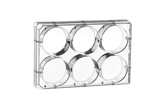 PLATES FOR CELL CULTURE, 6 WELL, PS, WITH LID, CLEAR, STERILE